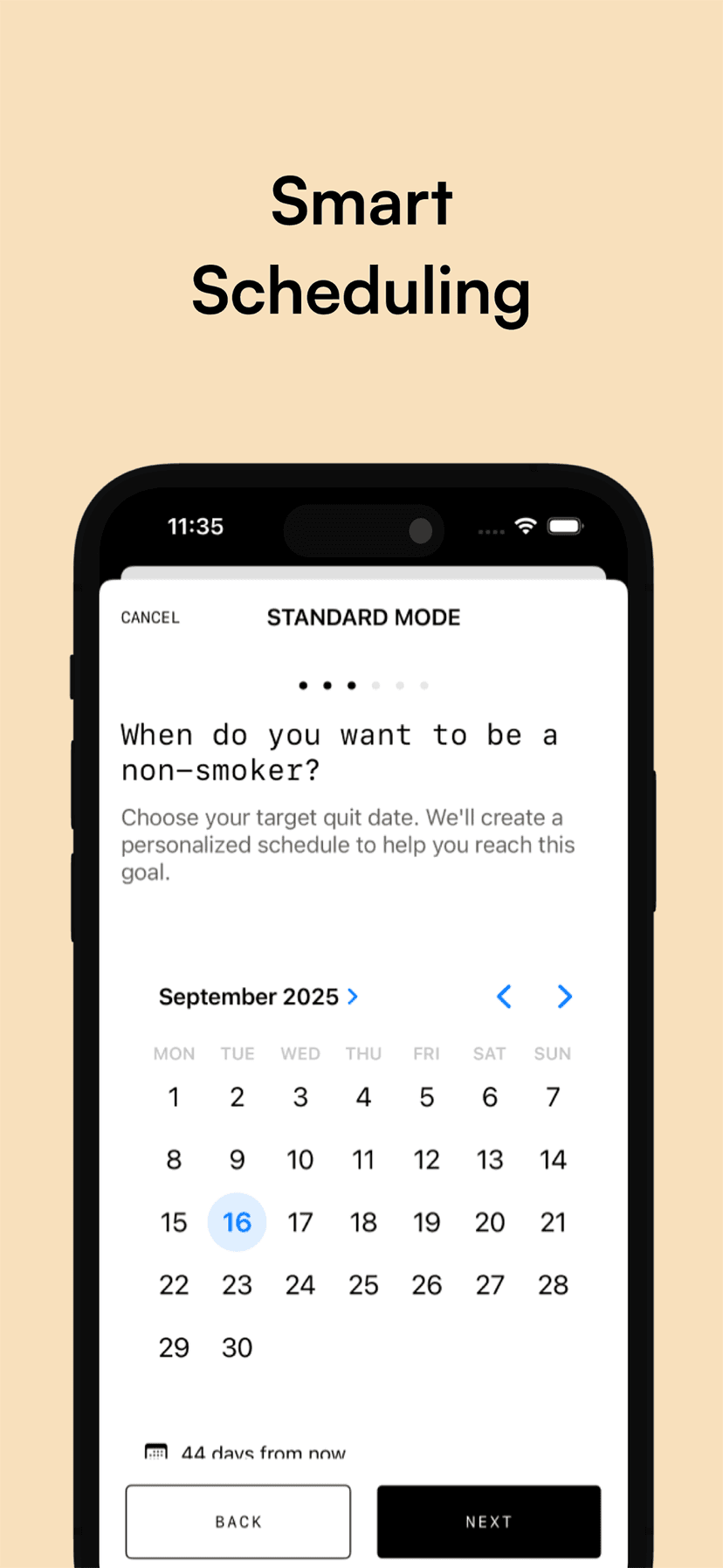 Quit Kitty statistics screen with streak and quit progress insights.